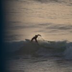 Surfer in imsouane Morocco catching a wave by Susan Paige Photography