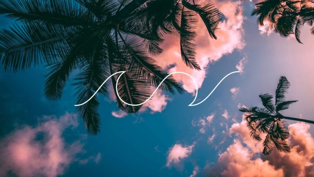 Affiliate marketing for sustainable and surf brands and businesses