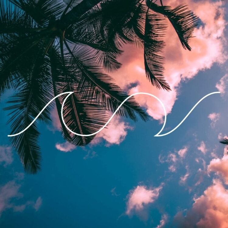 Affiliate marketing for sustainable and surf brands and businesses