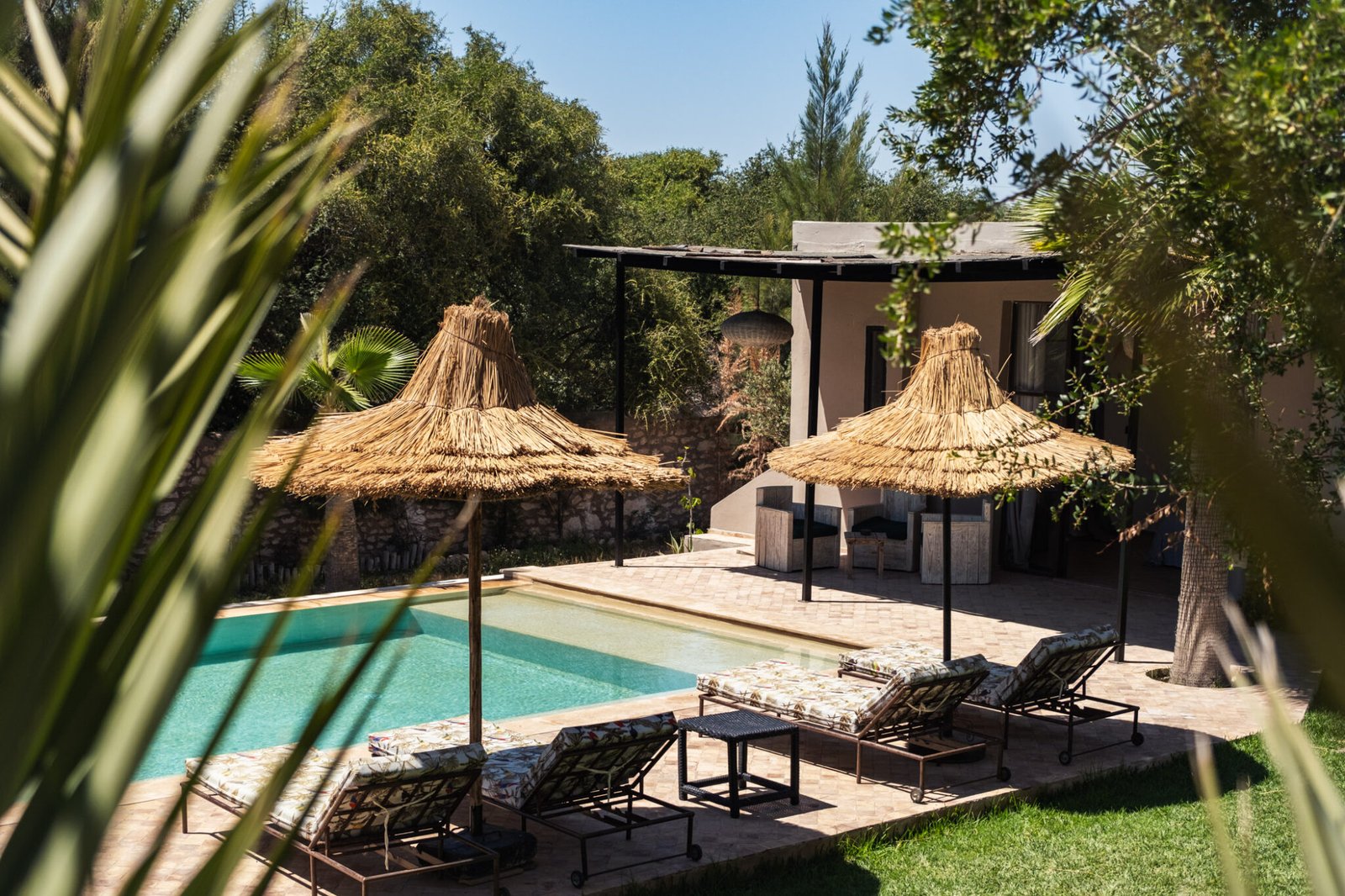 Pool view from terrace with palm trees and pool house for countryside villa in Essaouira Morocco by marketing agency.