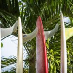 Surfboards in a row, surf lifestyle photography in Sayulita Mexico