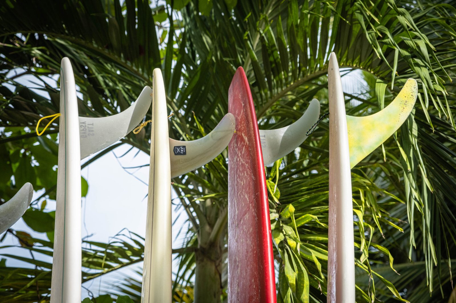 Surfboards in a row, surf lifestyle photography in Sayuloita Mexico.