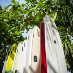 Surfboards leaning against palm trees in Sayulita Mexico outside of a surf school by photographer