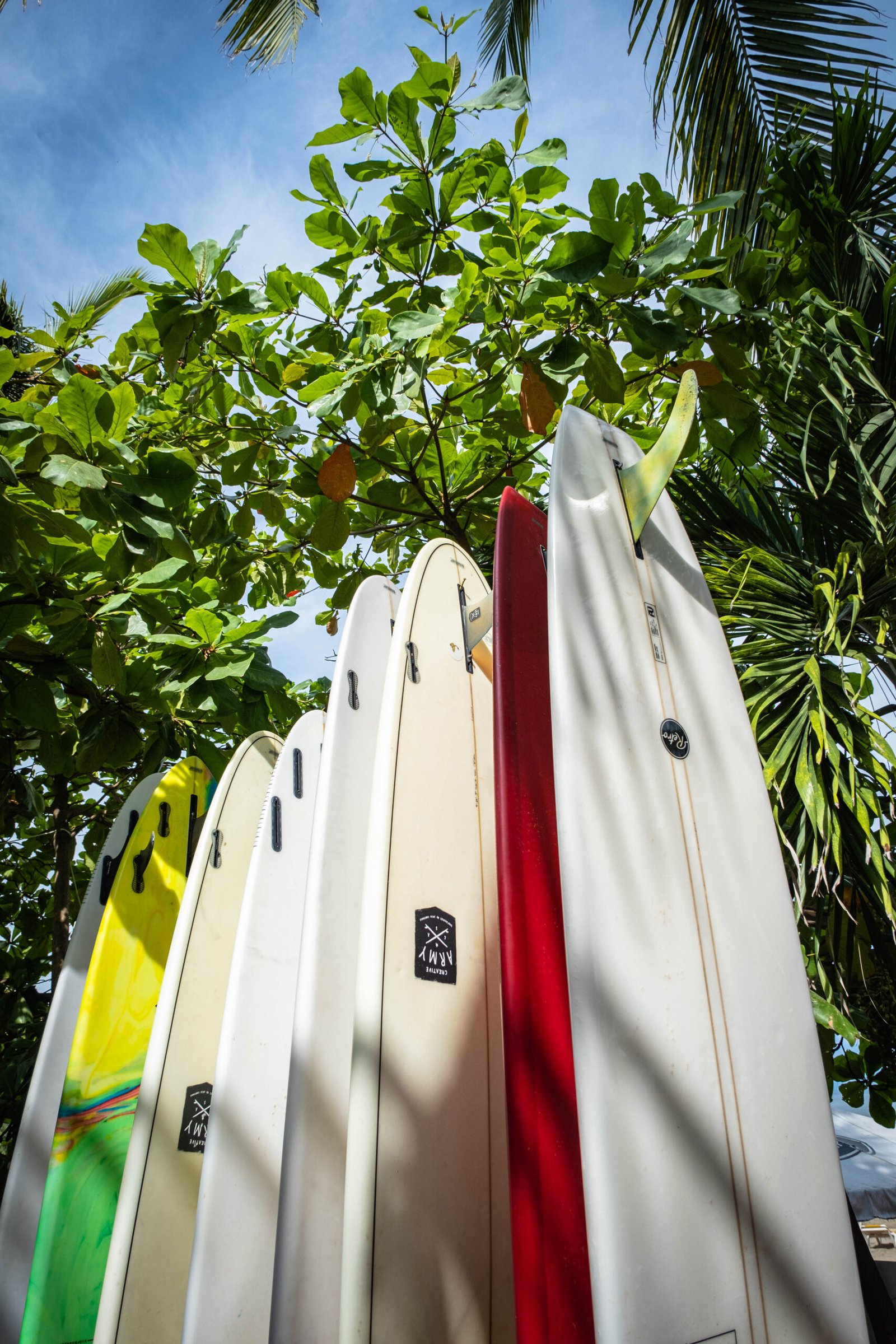 Surfboards leaning against palm trees in Sayulita Mexico outside of a surf school